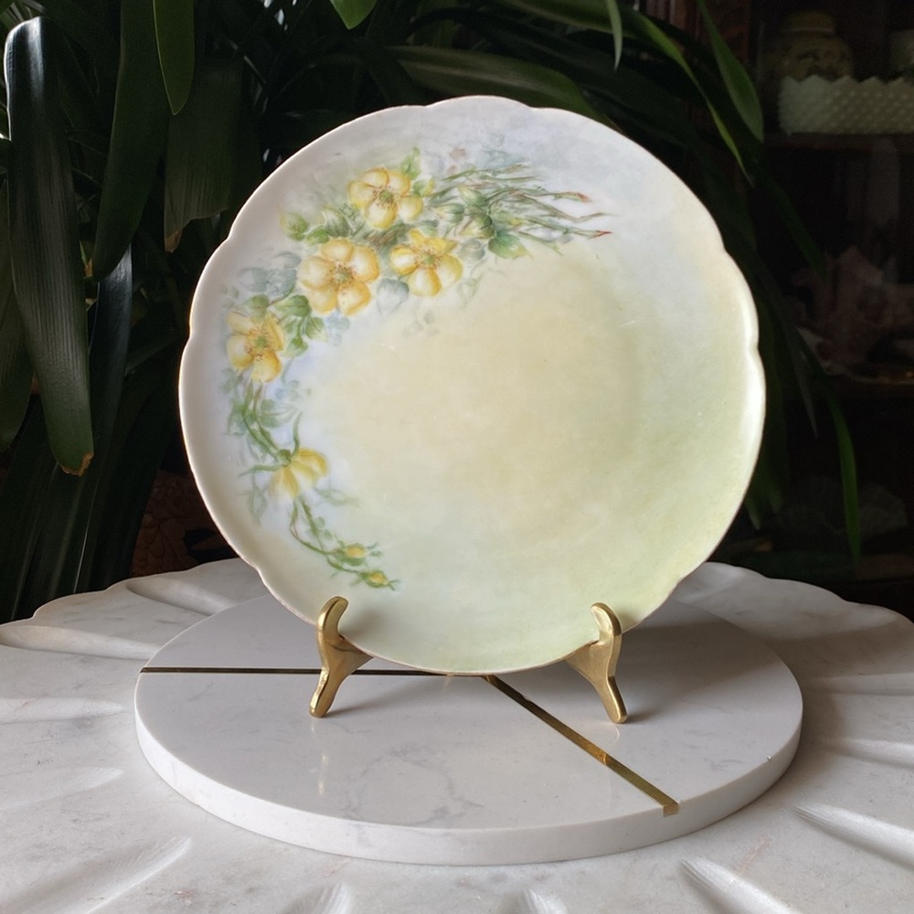 Antique Bavaria Hand Painted Porcelain Decorative Wall Hanging Plate German